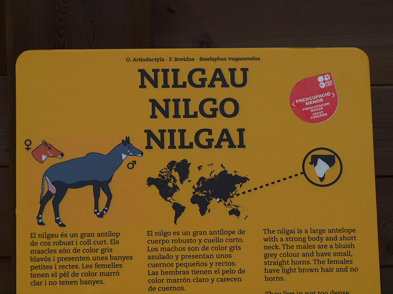Barcelona Zoo - Color info panels