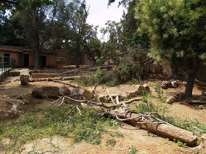Barcelona Zoo - Deer exhibit after the storm