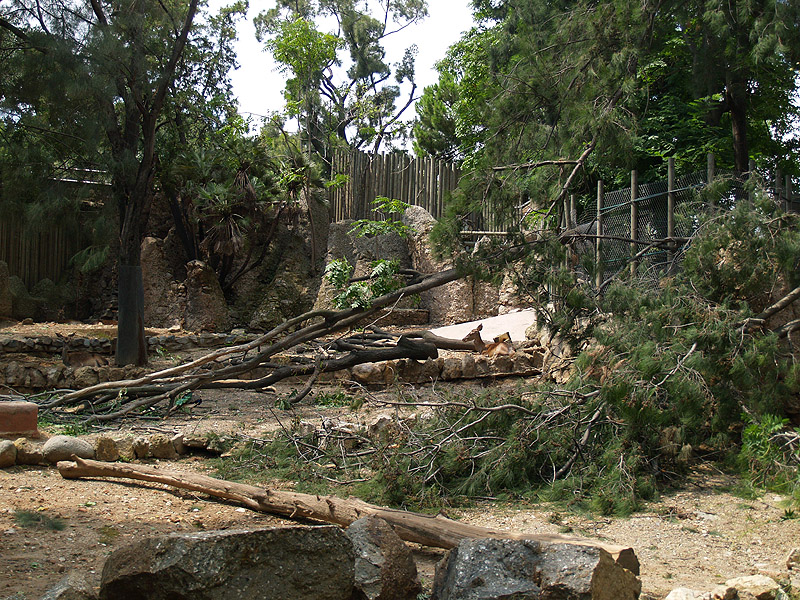 Barcelona Zoo - Deer exhibit after the storm