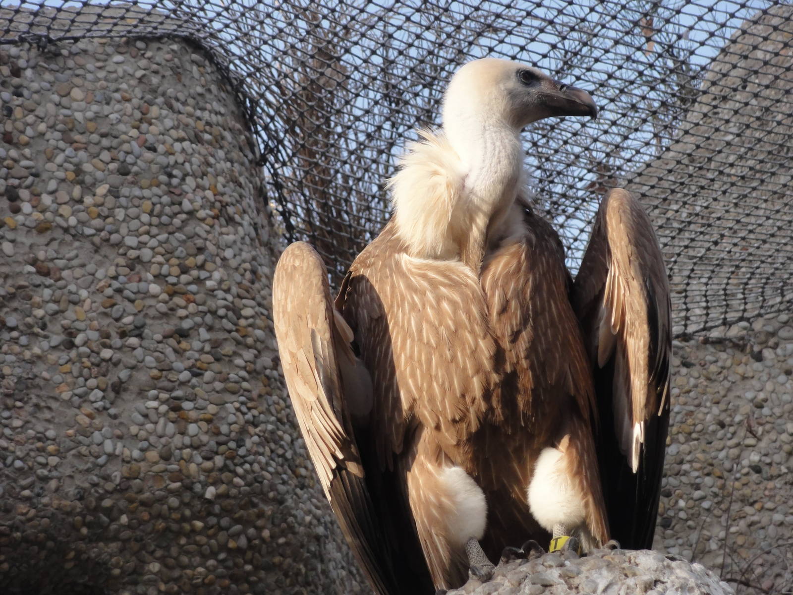 Barcelona Zoo; March 2016