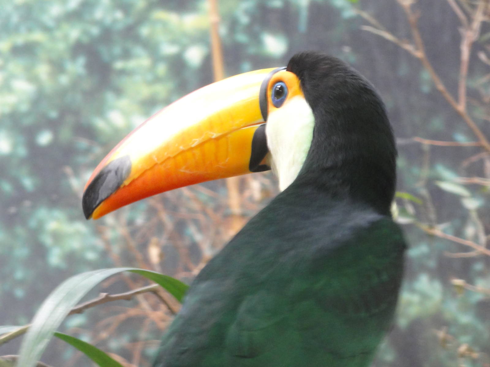 Barcelona Zoo; March 2016