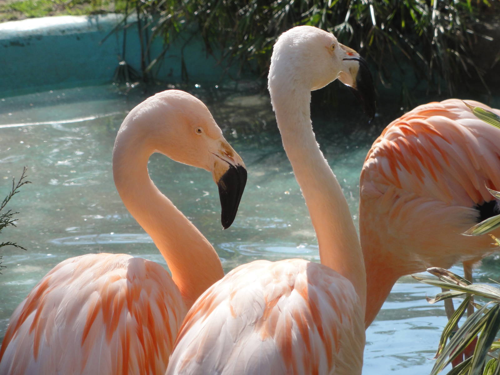 Barcelona Zoo; March 2016