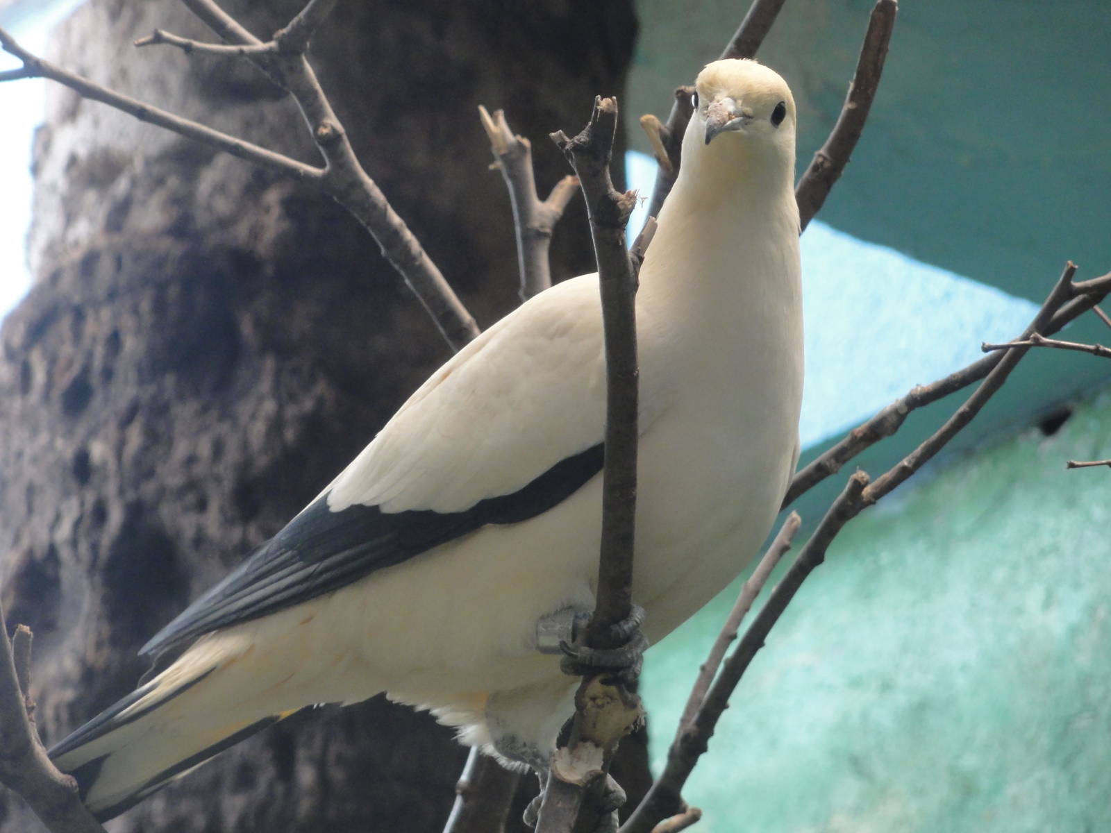 Barcelona Zoo; March 2016