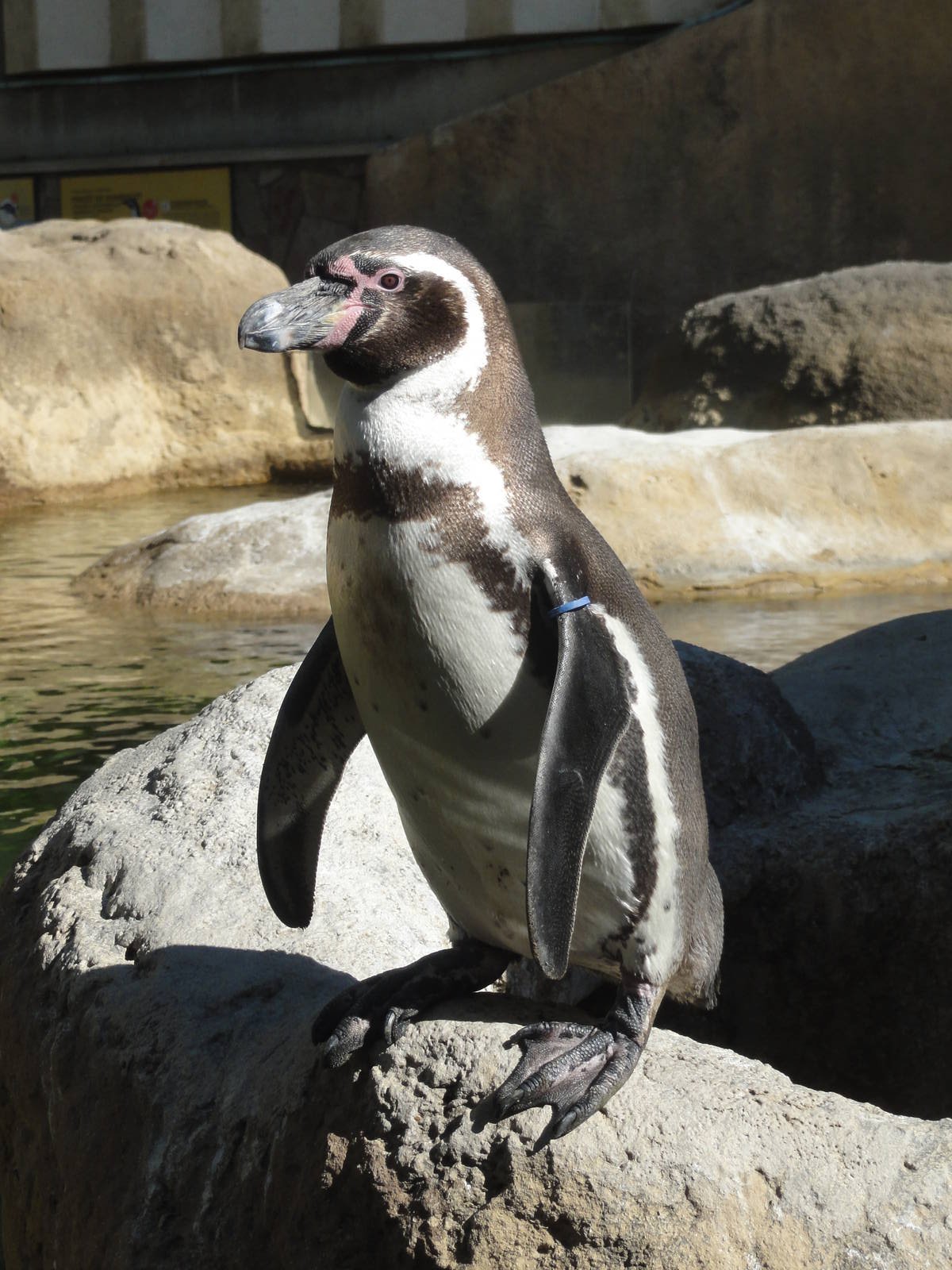 Barcelona Zoo; March 2016