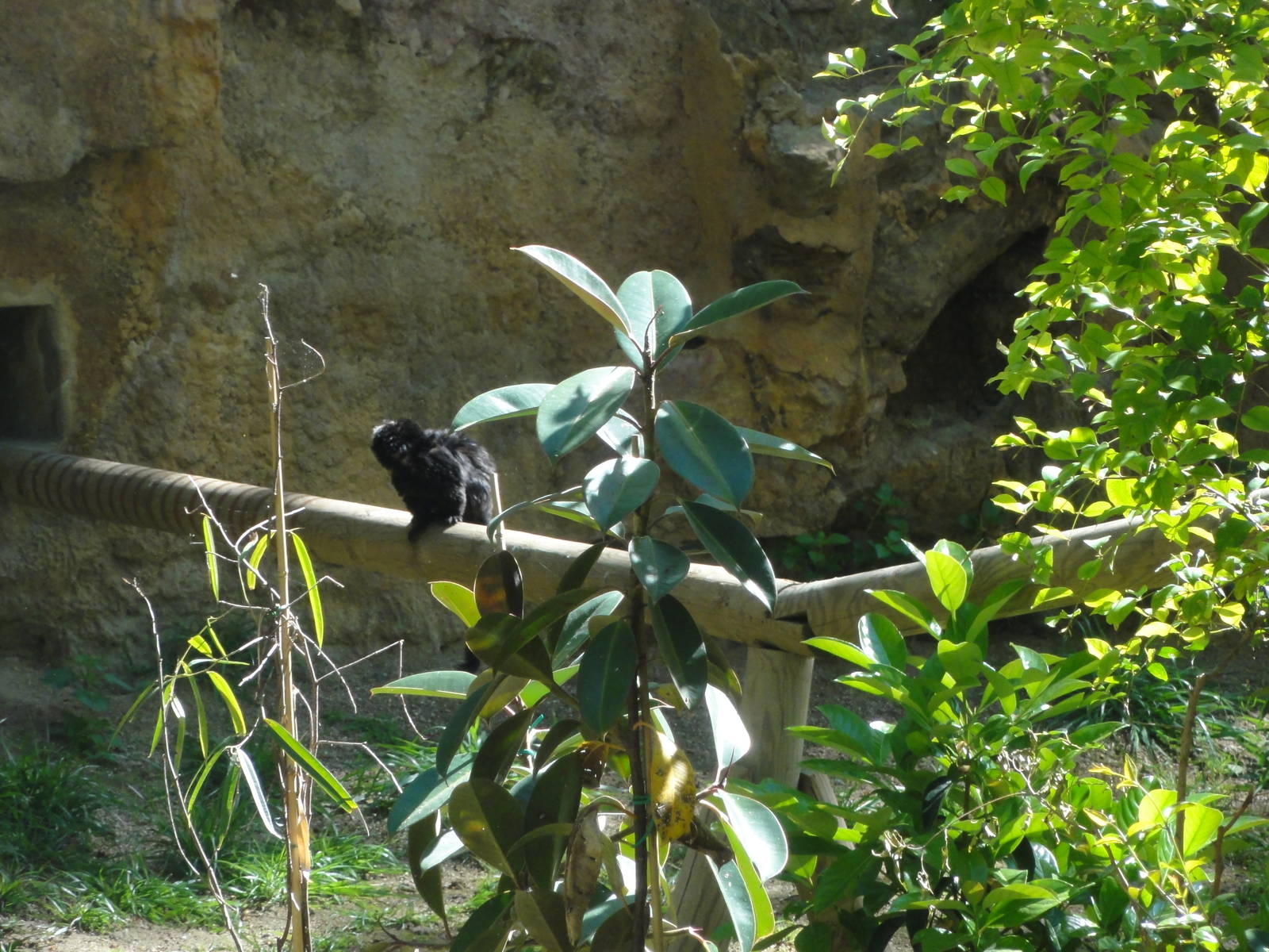 Barcelona Zoo; March 2016