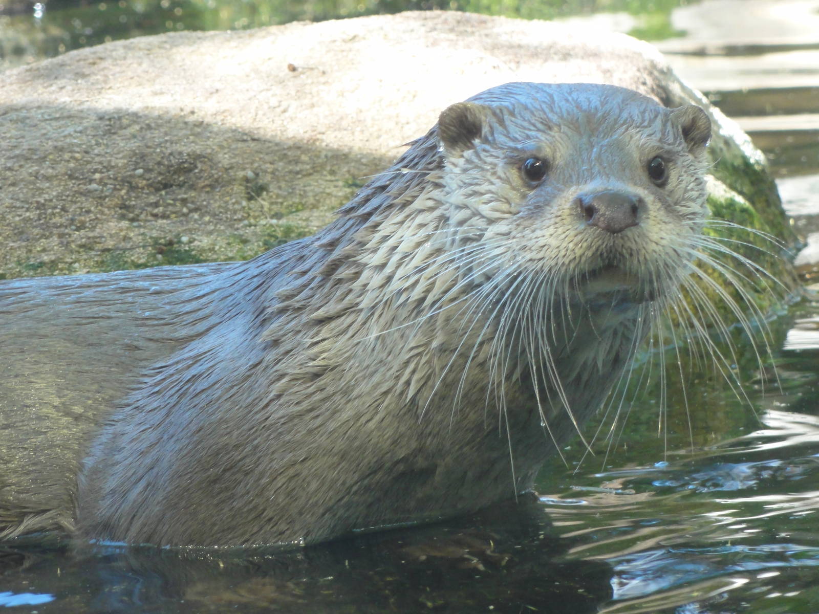 Barcelona Zoo; March 2016