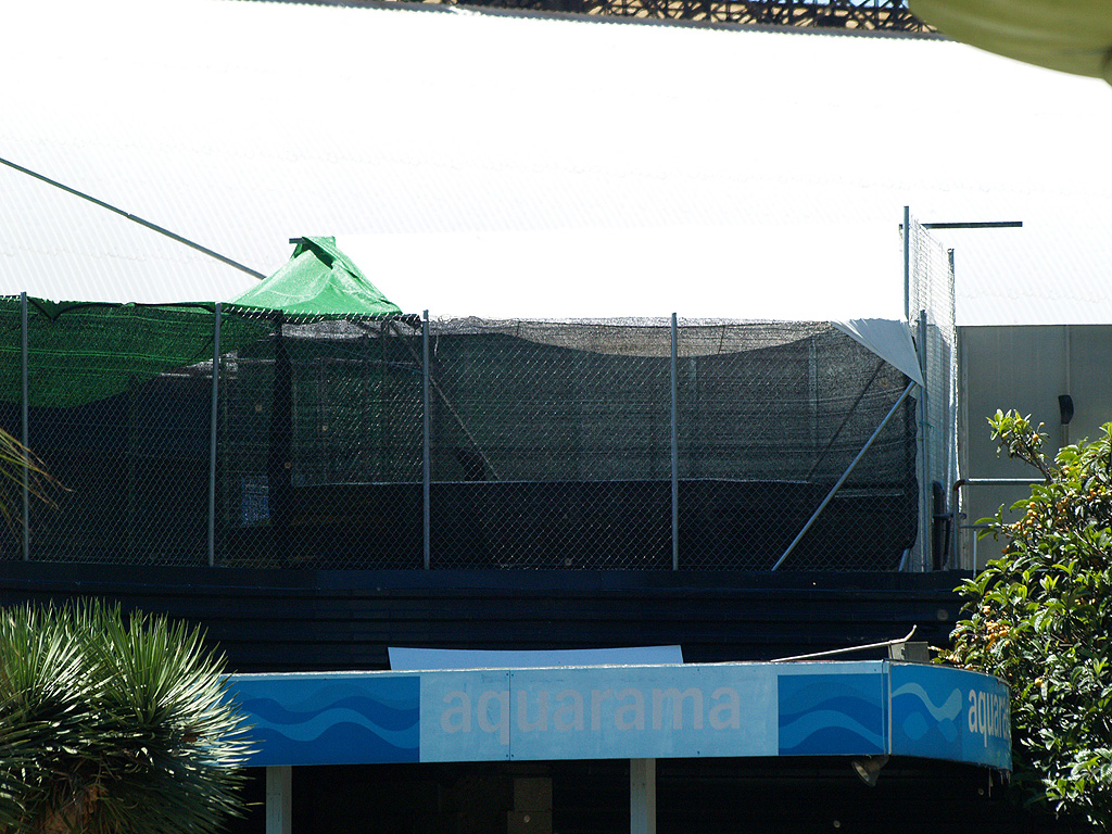 Barcelona Zoo - Provisional pool for sea lions