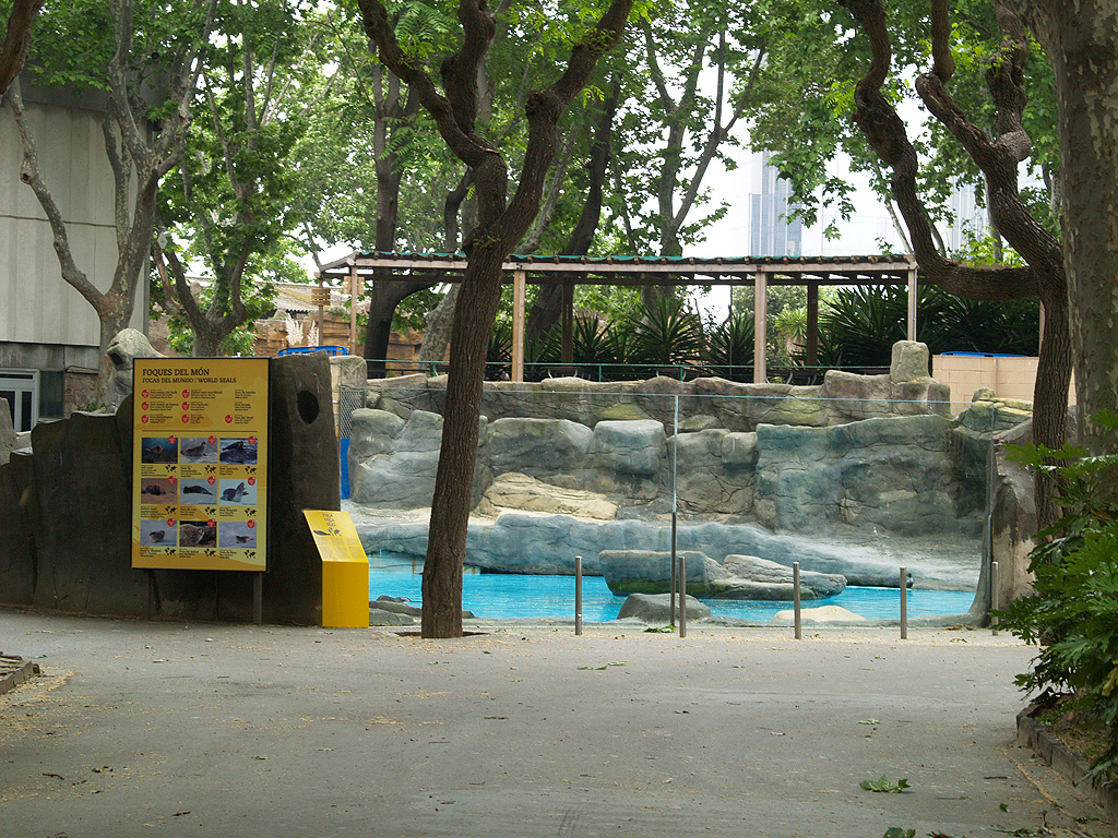 Barcelona Zoo -Seals pool