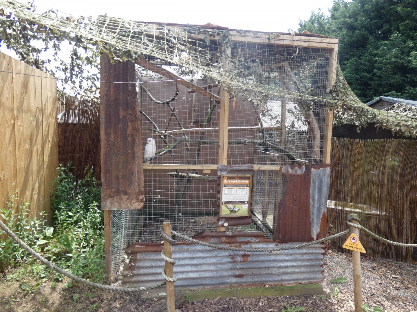 Bare-eyed Cockatoo Aviary