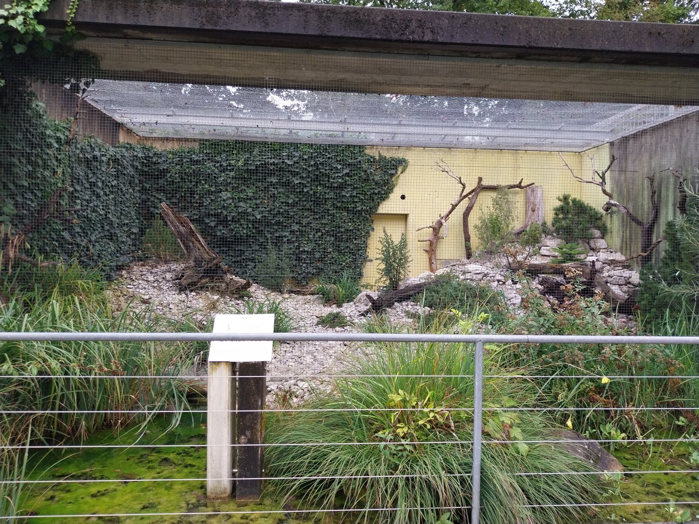 BärenHaus - Alpine rock partridge aviary