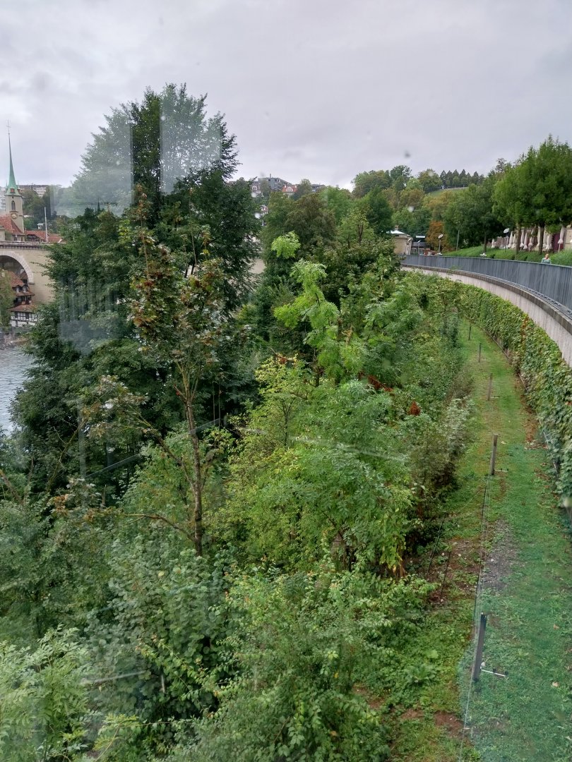 Bärenpark - Second section