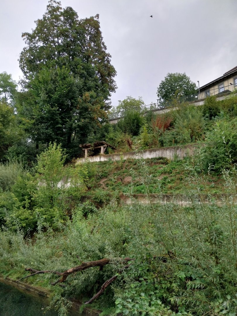 Bärenpark - Second section