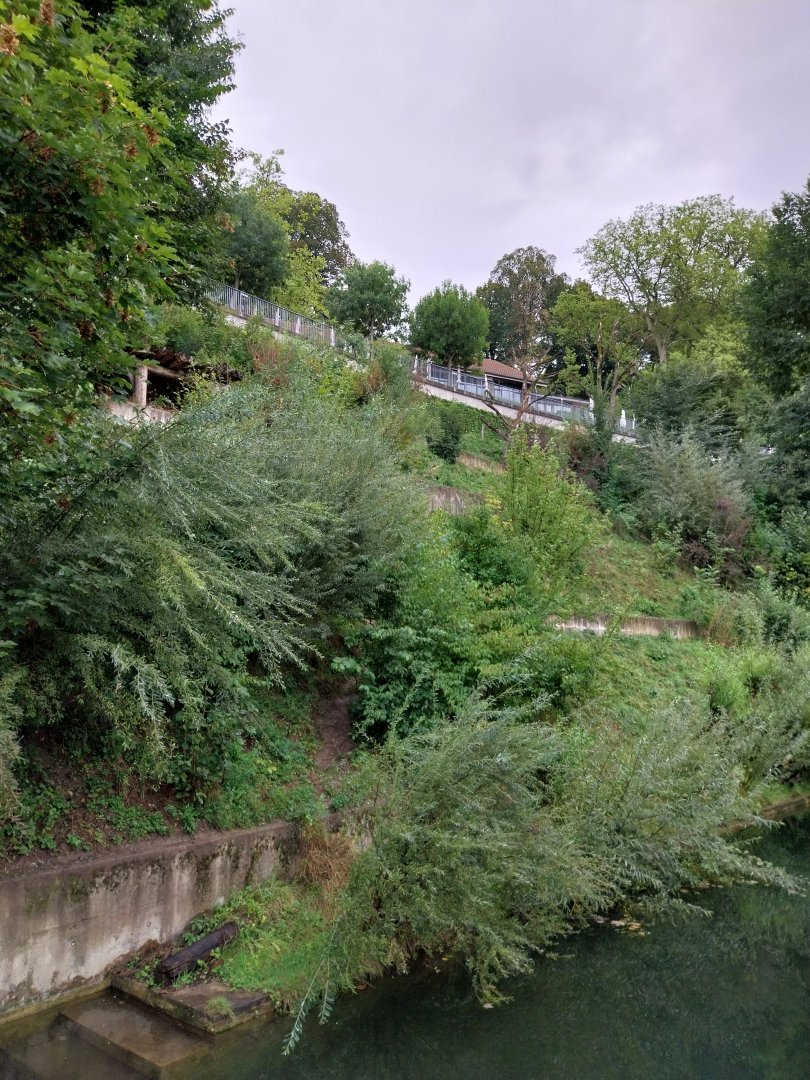 Bärenpark - Second section