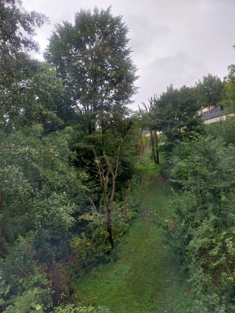 Bärenpark - Second section