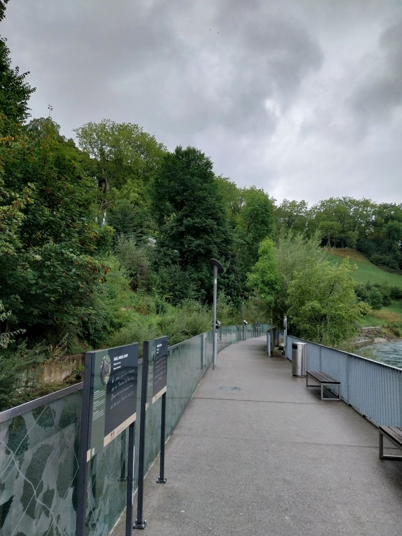 Bärenpark - Visitors path along the banks of the Aare
