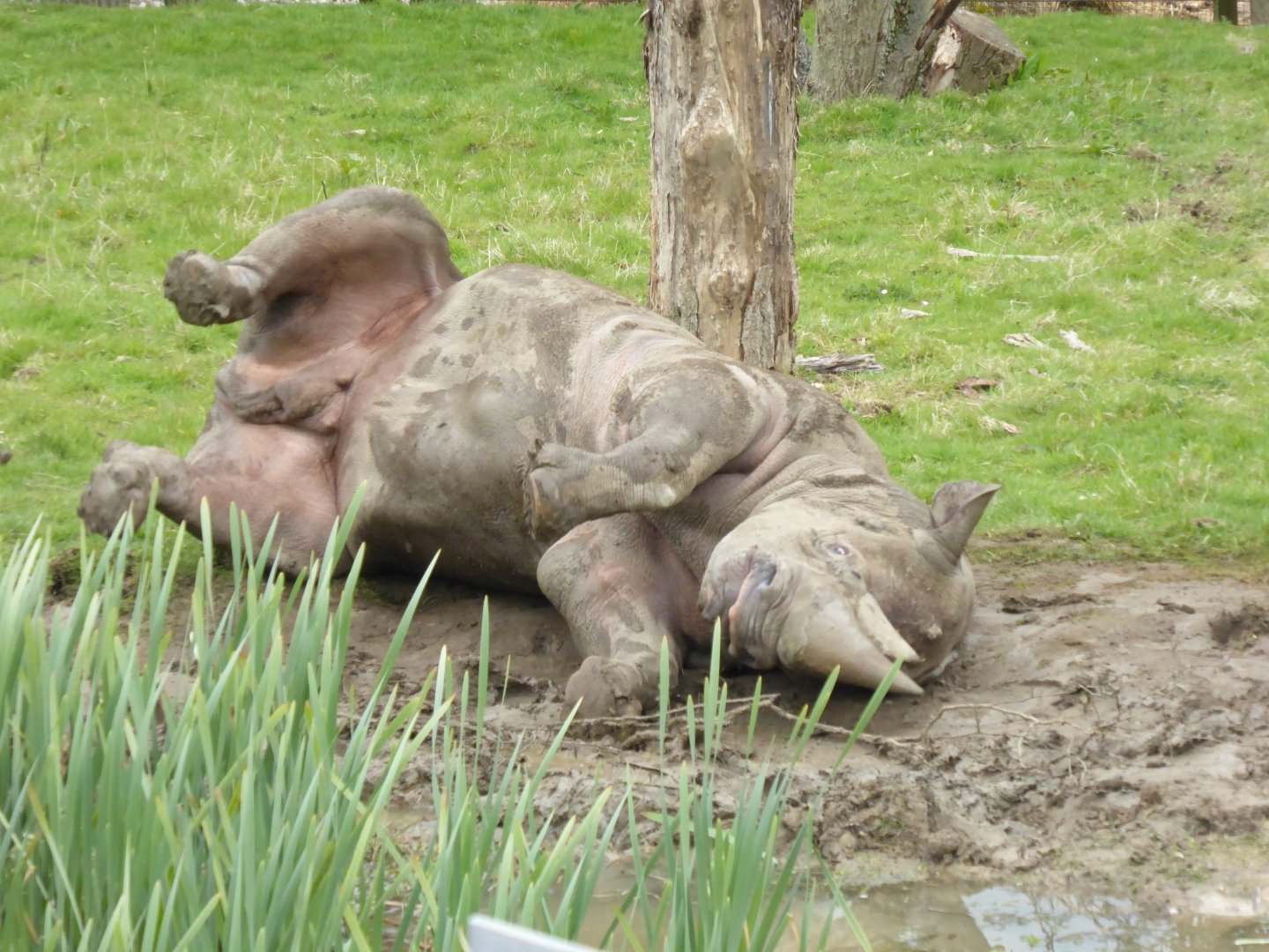 Baringo, 28th April 2017