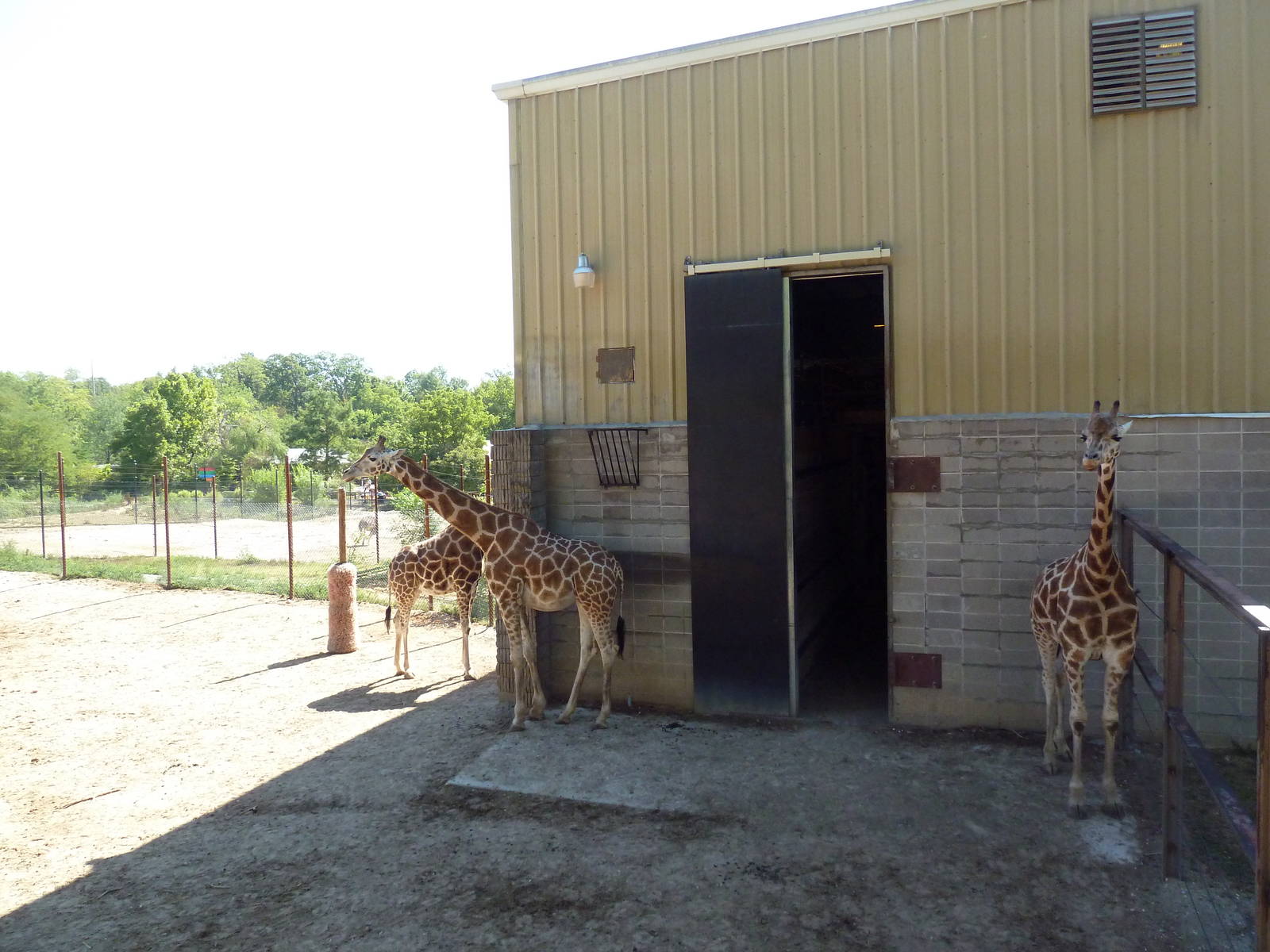 Baringo Giraffe Exhibit - Barn