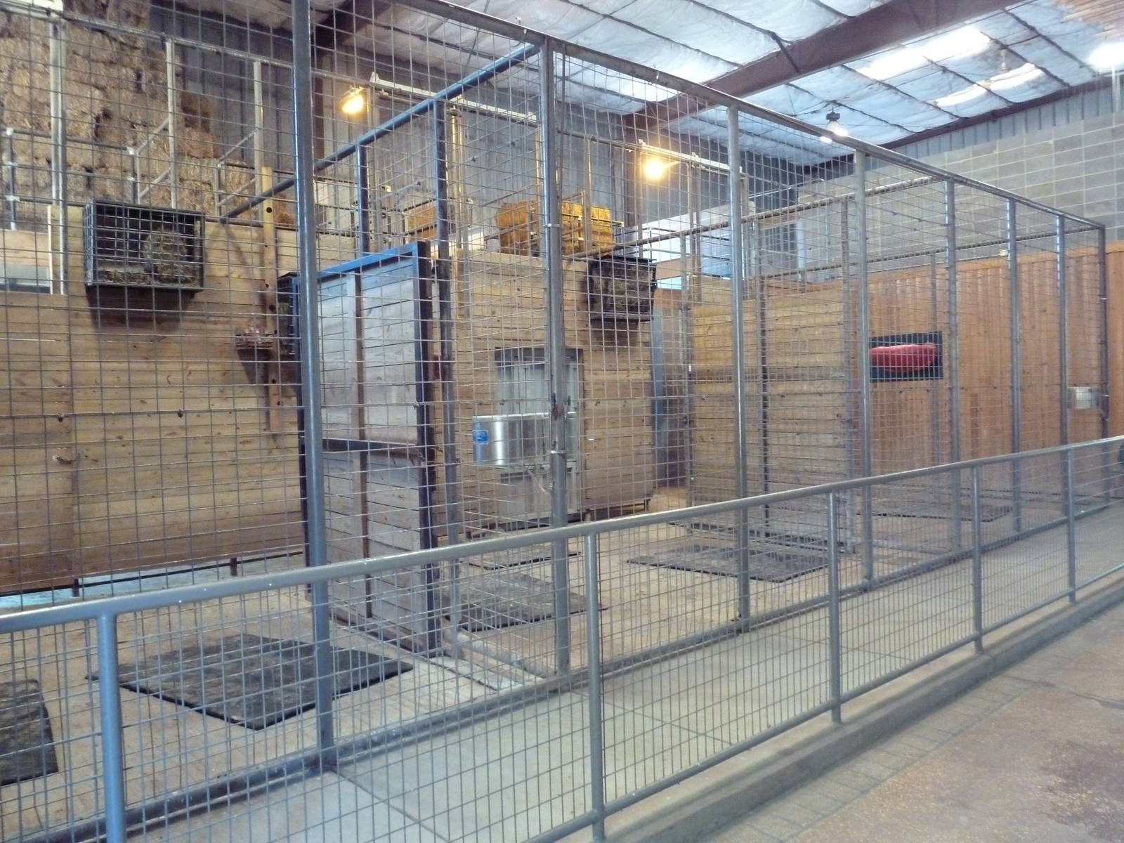 Baringo Giraffe Exhibit - Barn