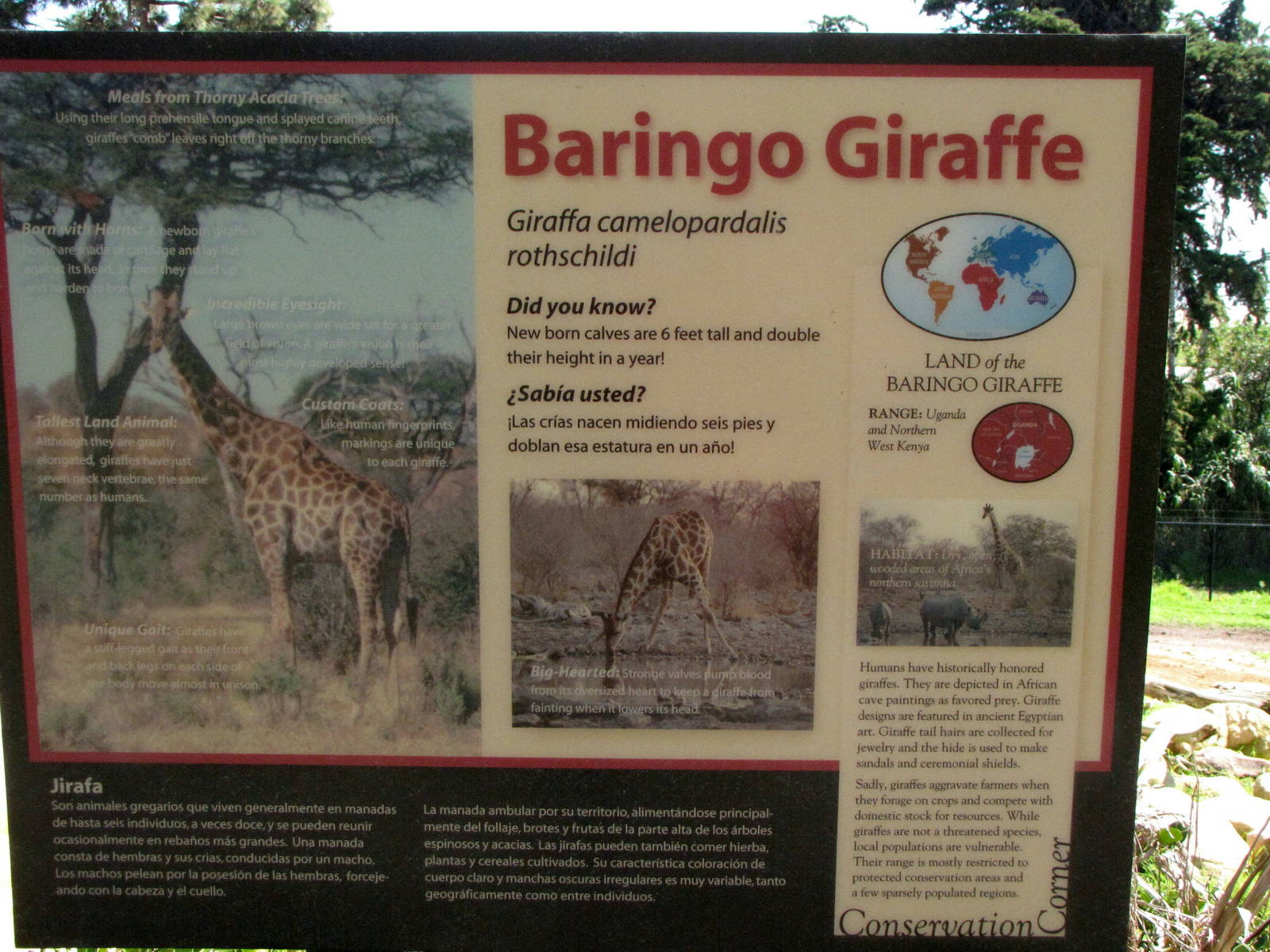 Baringo Giraffe Signage