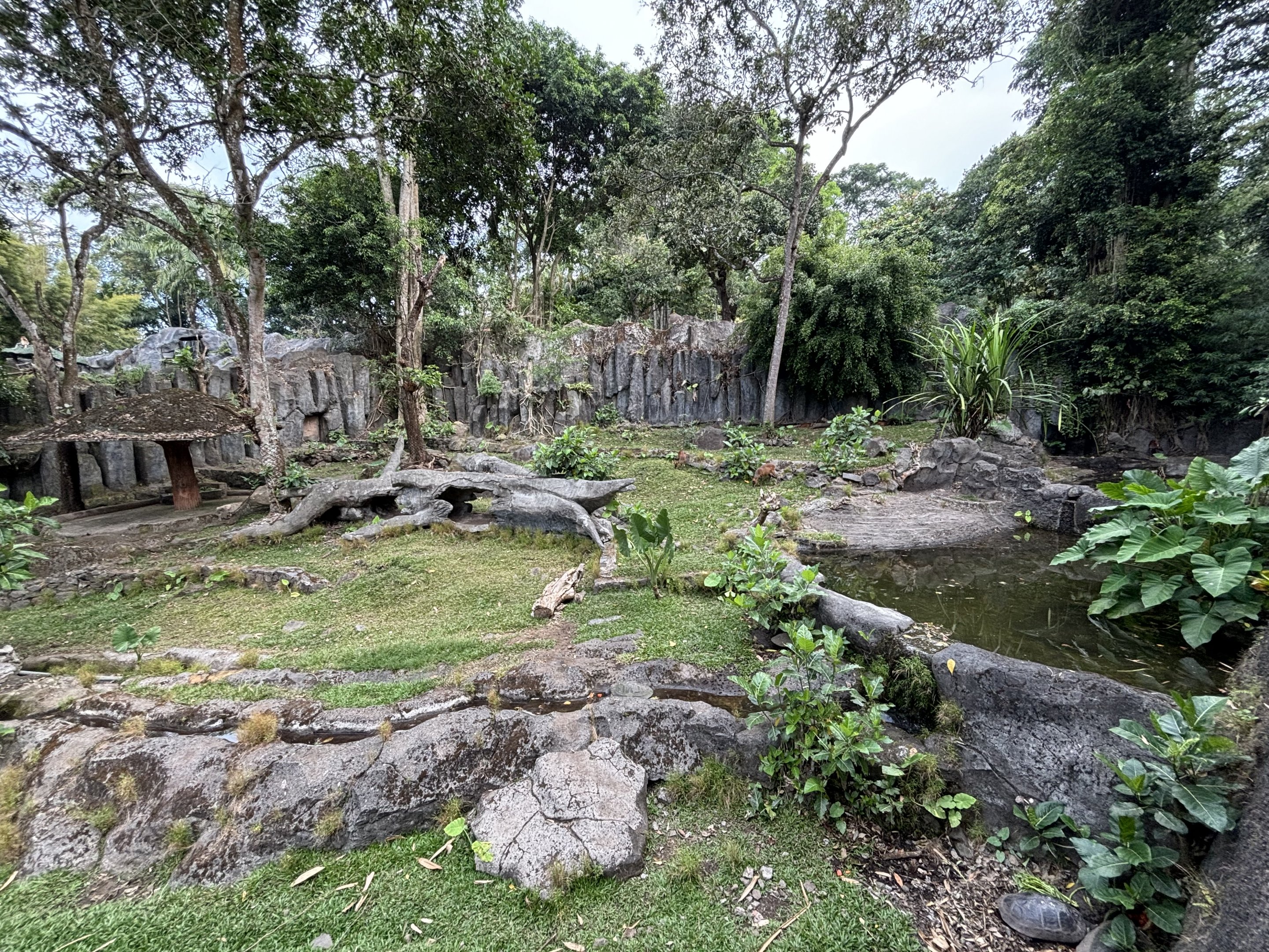 Barking Deer Exhibit - wow!