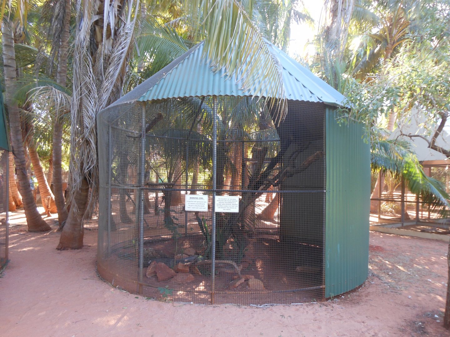 Barking Owl enclosure