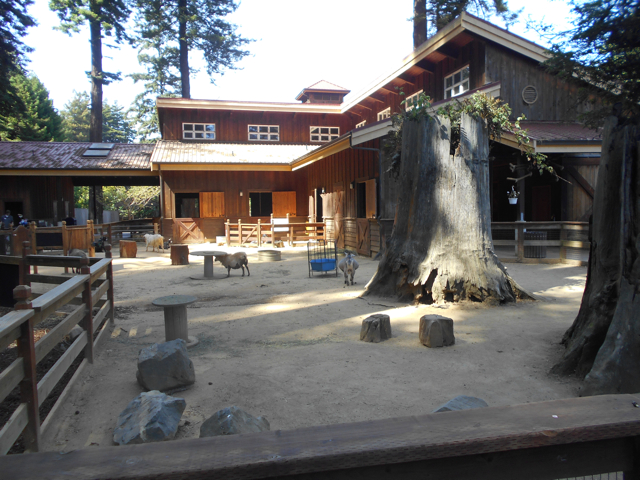 Barn and contact yard