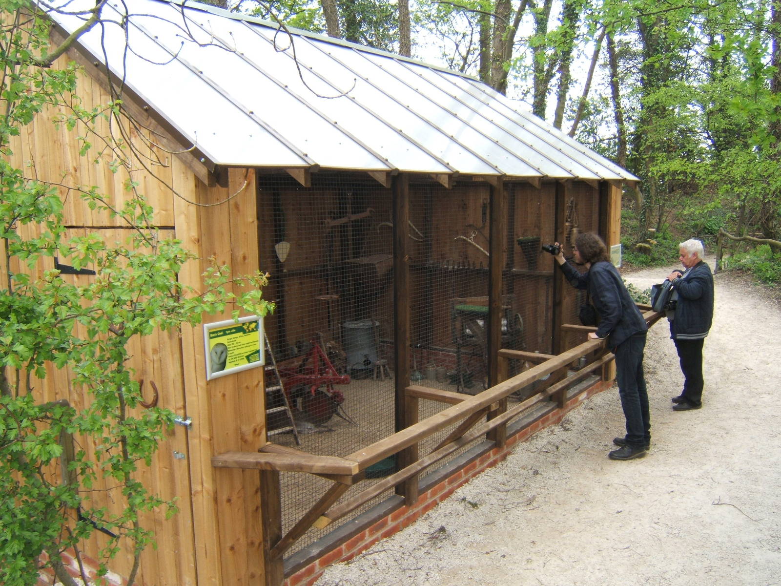 Barn and Tawny Owl Aviary