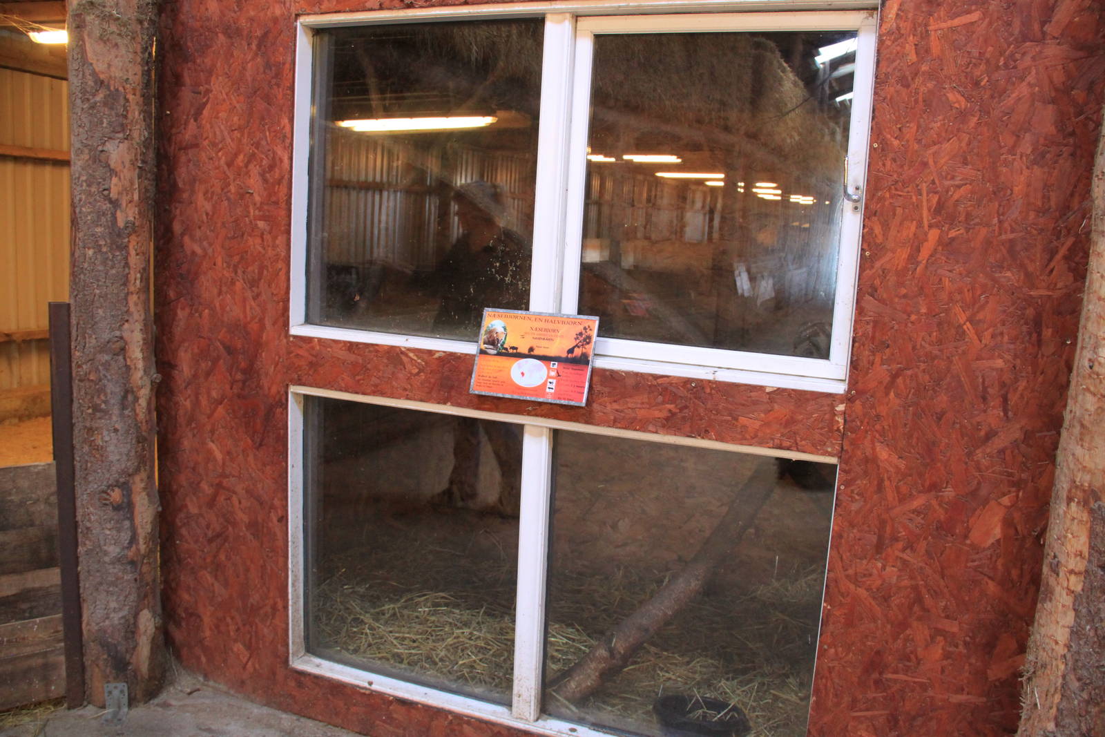 Barn - Coati Indoor Exhibit