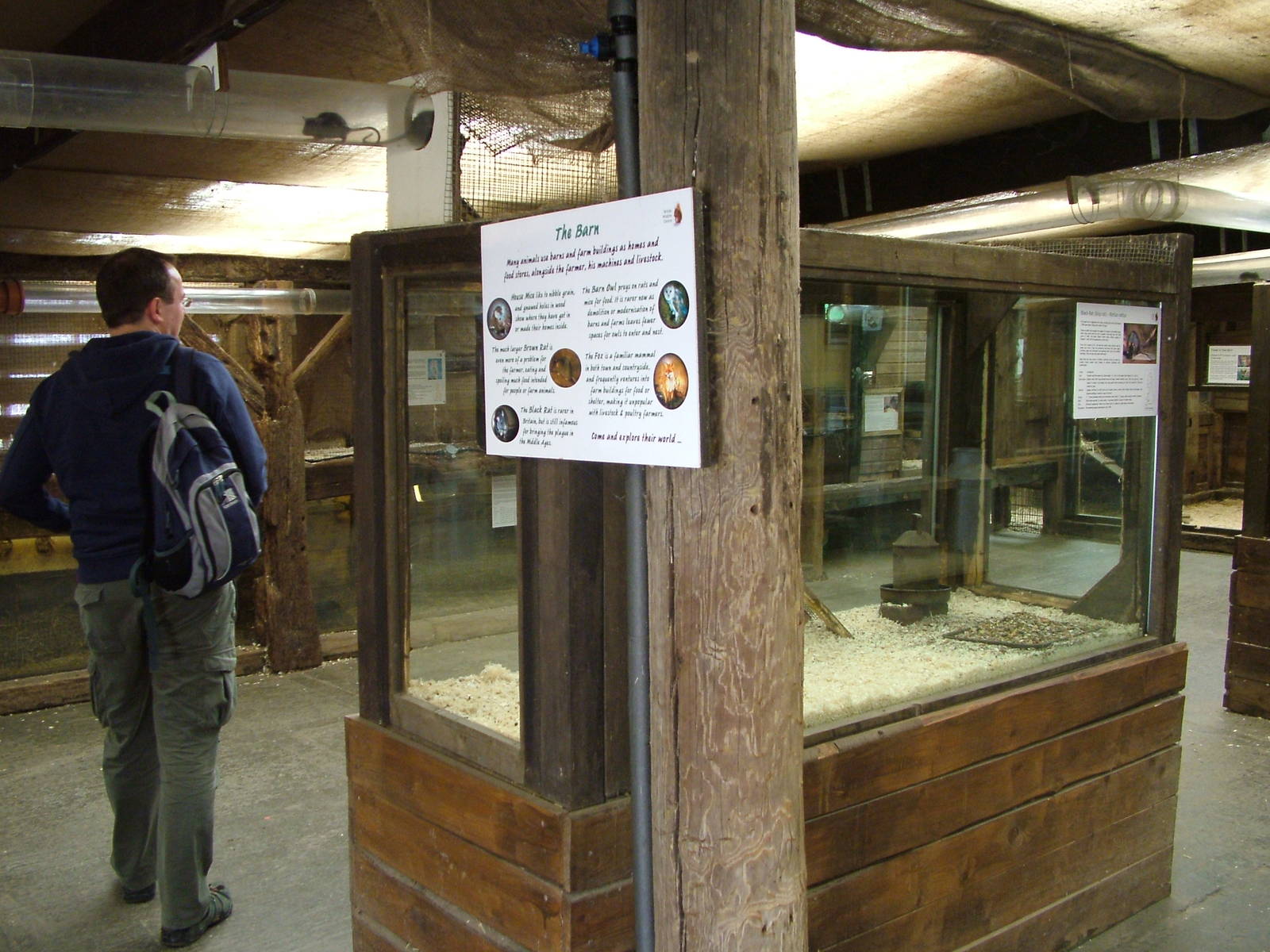 Barn exhibit at the British Wildlife Centre 14/03/10
