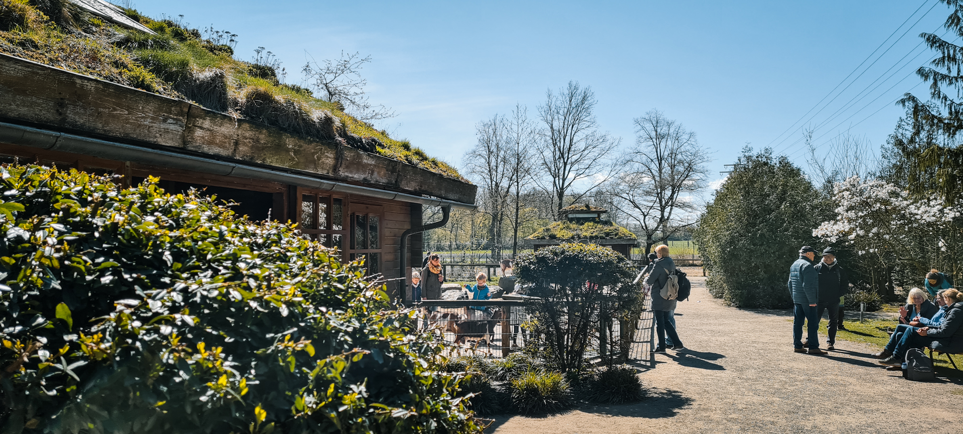 Barn for farm animals and Maras