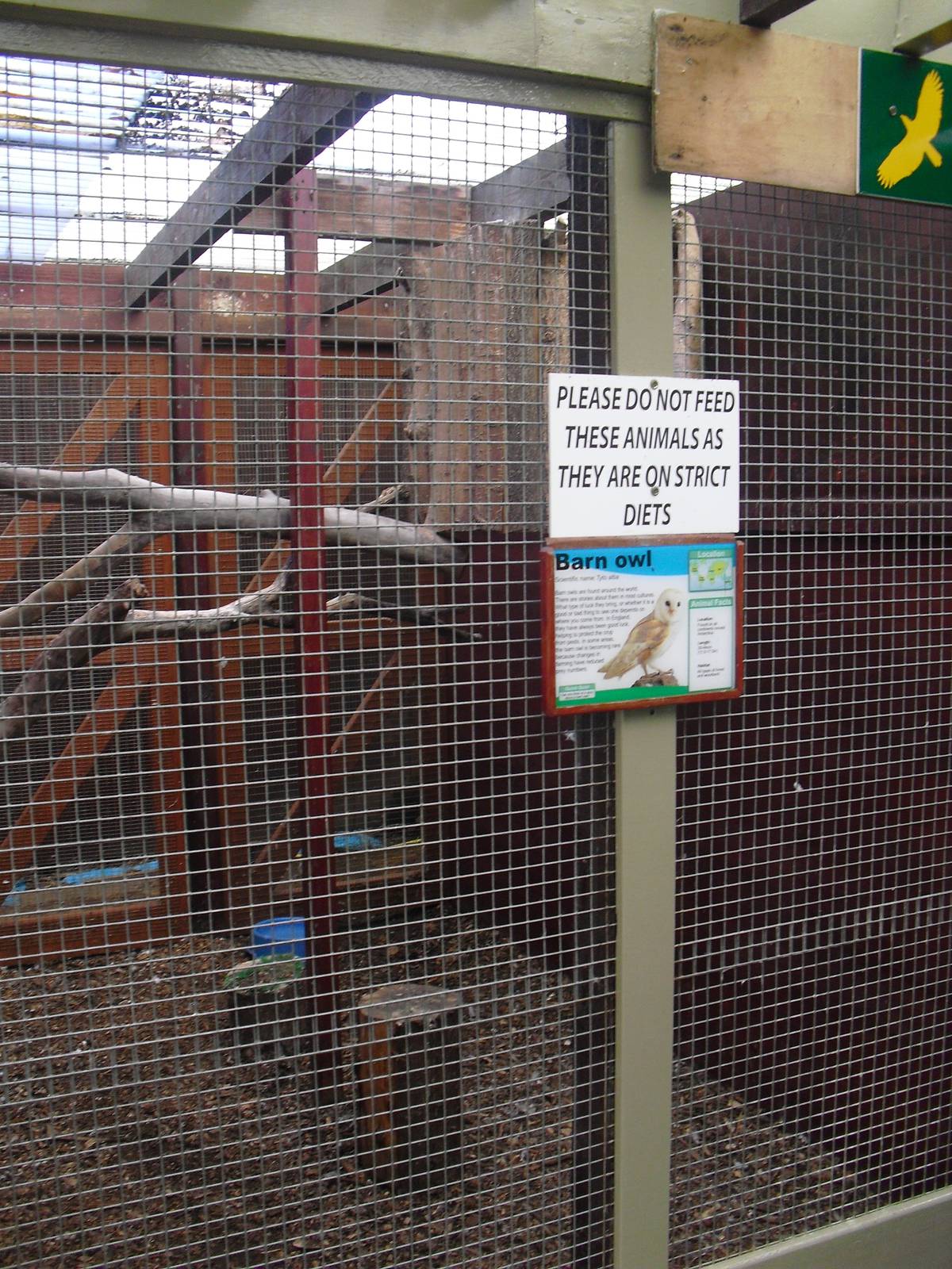 Barn Owl Aviary - 16/10/2011