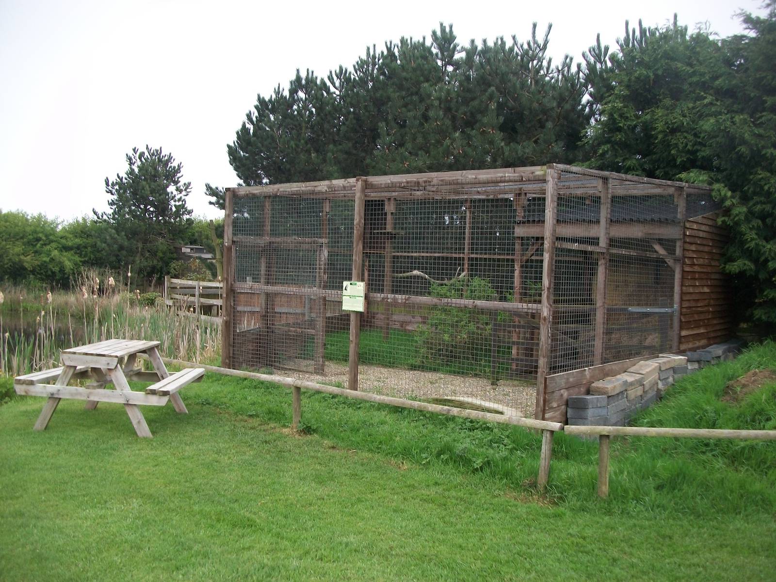 Barn Owl aviary, 1st May 2014