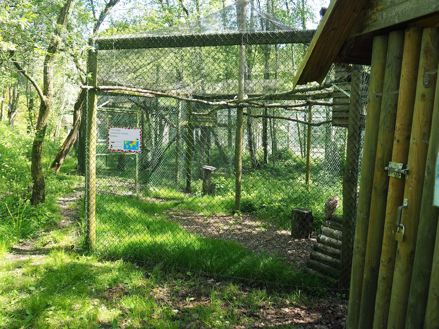 Barn owl aviary, 2023-05-19