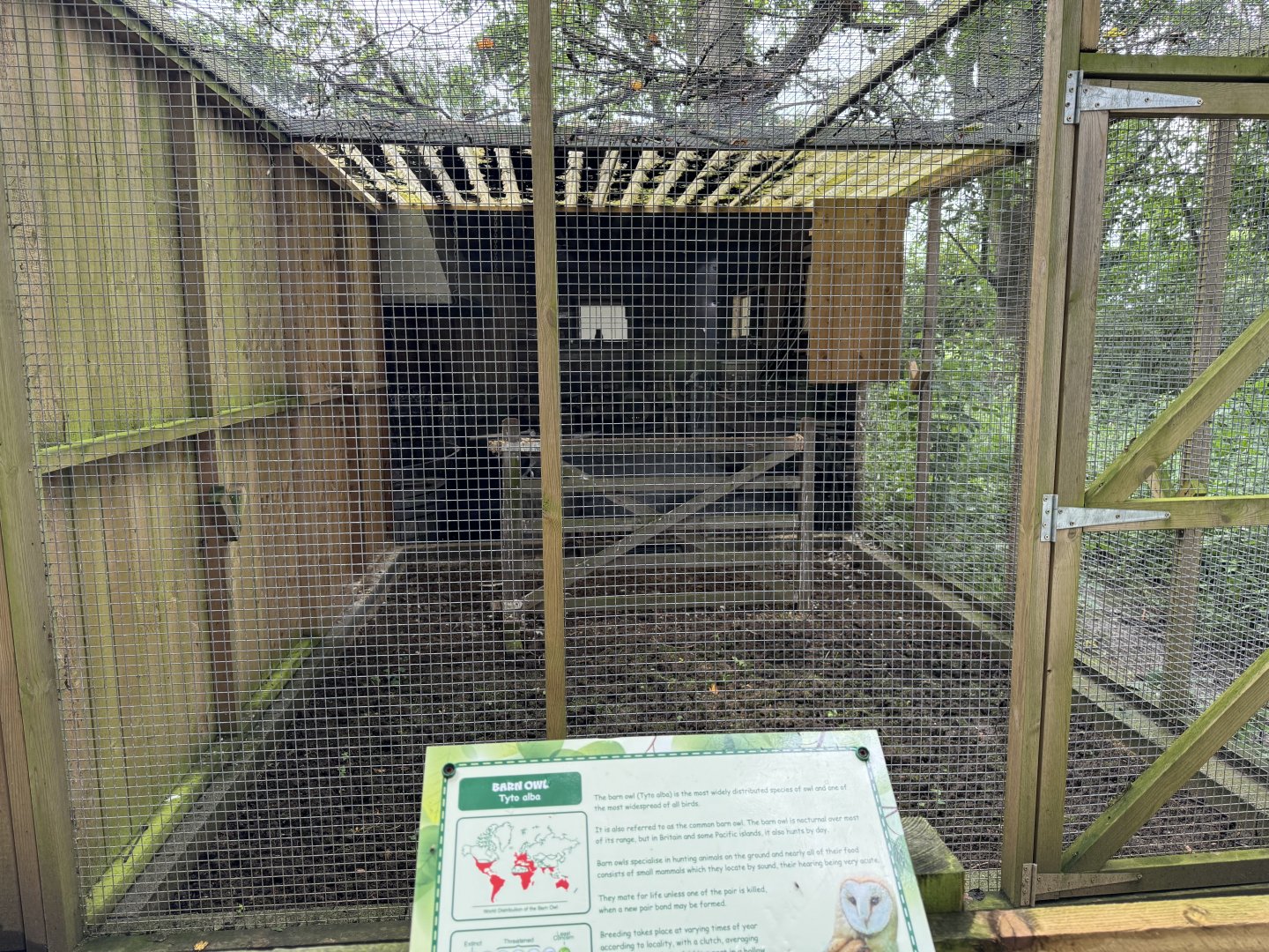 Barn Owl Aviary at Bridlington Animal Park (July 2024)