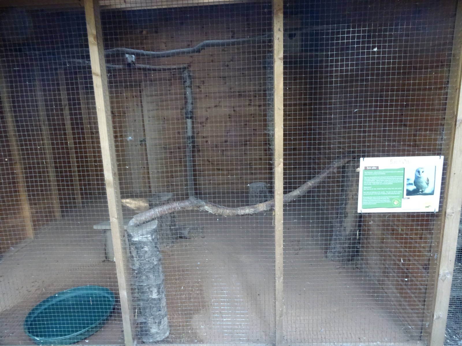 Barn Owl Aviary at Yorkshire Wildlife Park