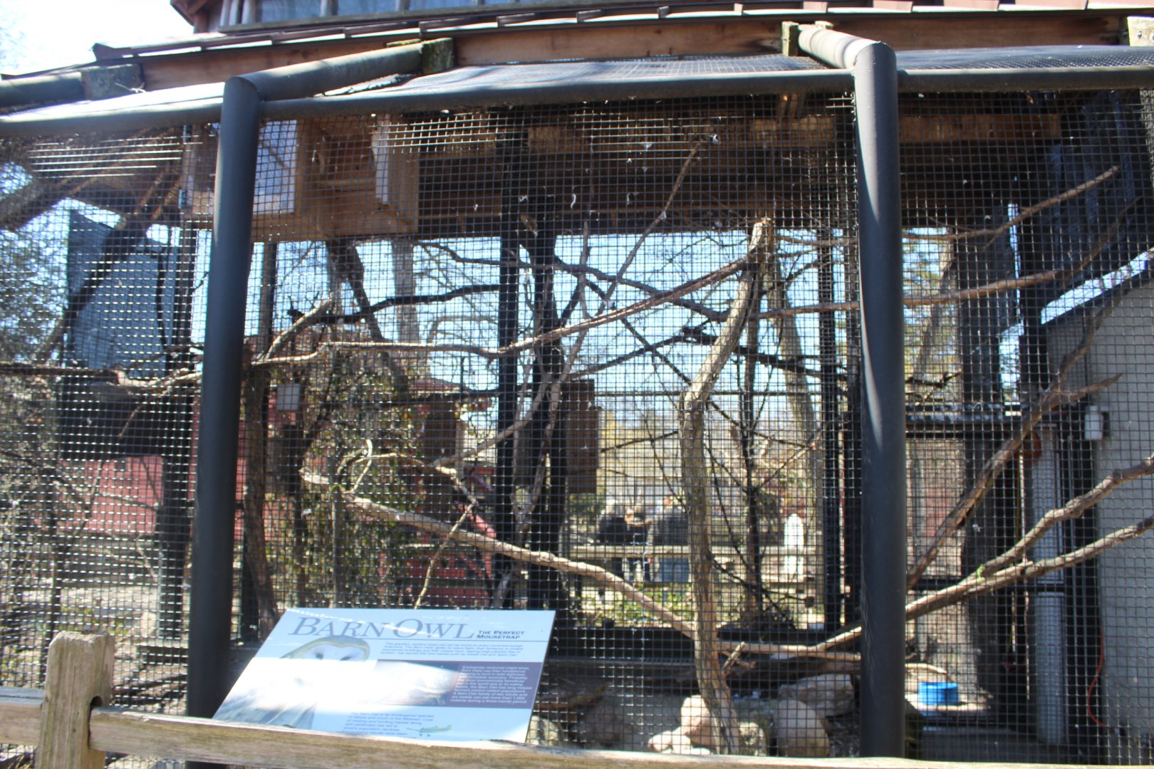 Barn Owl Aviary - Birds of Prey