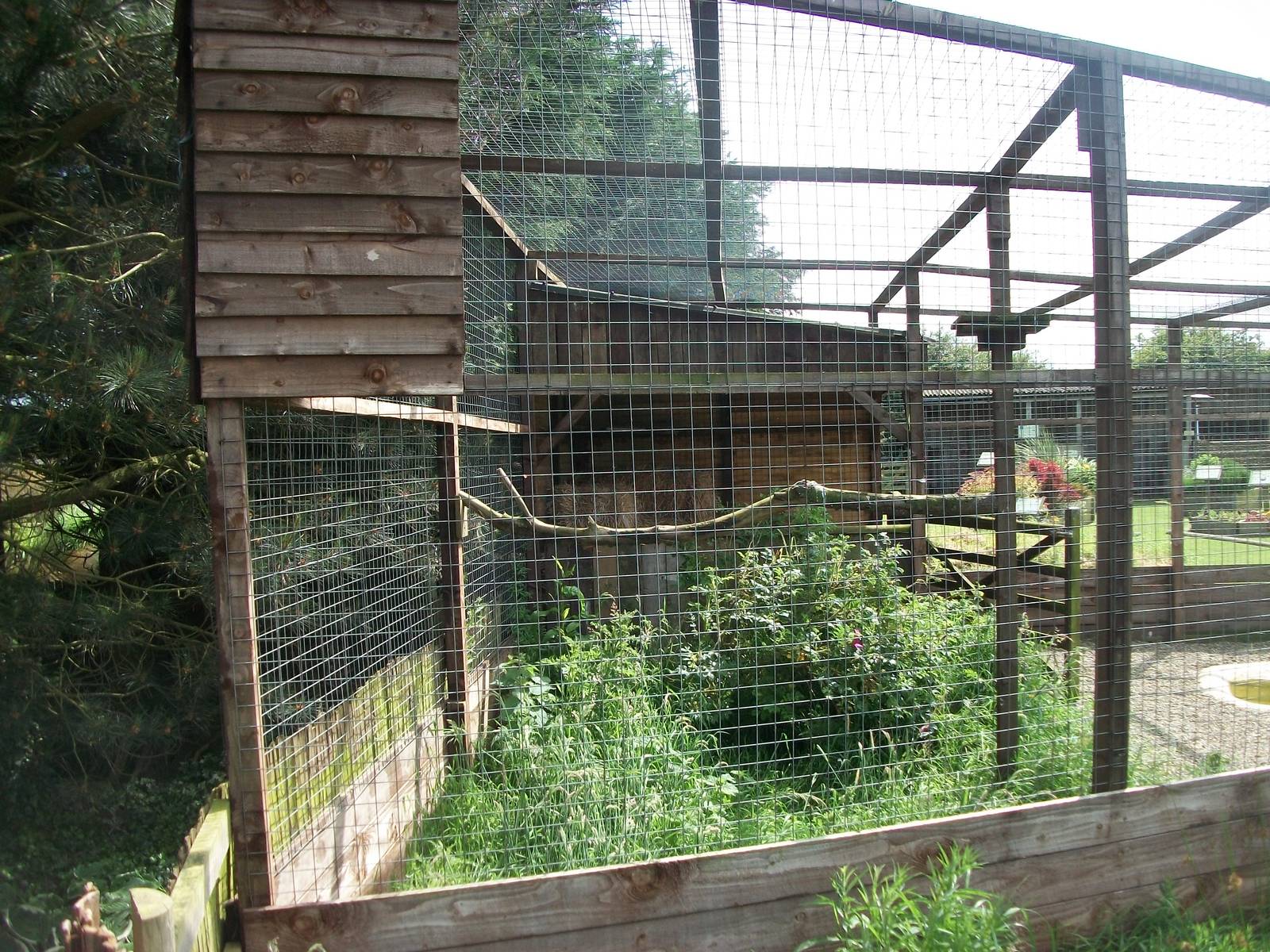 Barn Owl Aviary from the Secret Garden, 19th June 2014