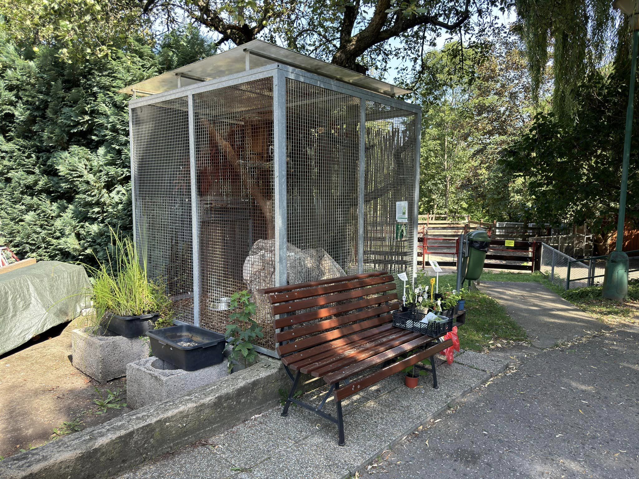 Barn owl aviary - Stanice přírodovědců (Prague/Praha)