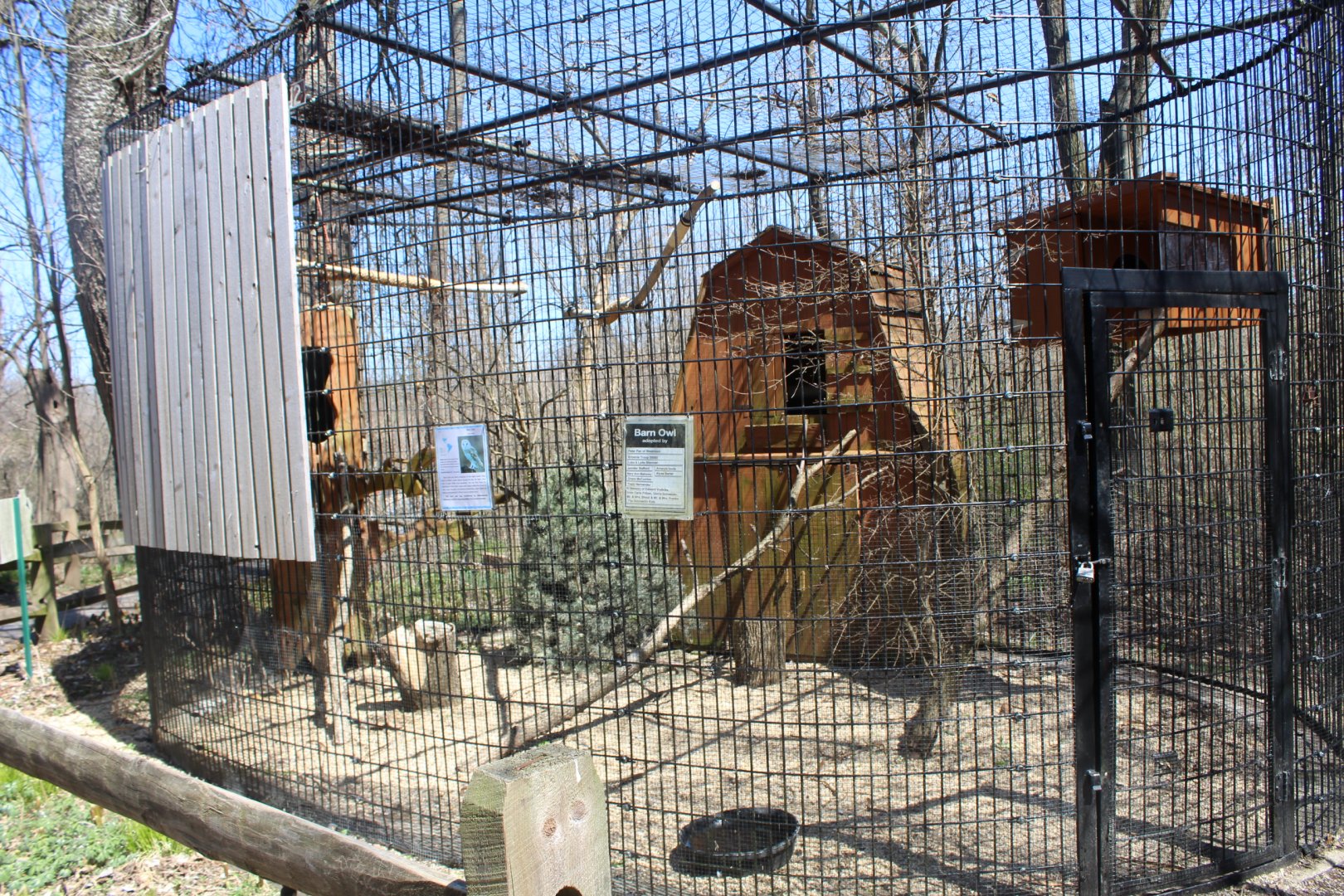 Barn Owl Aviary
