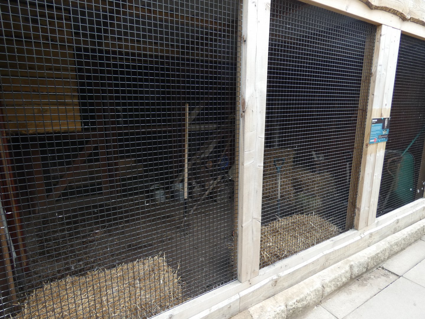 Barn owl aviary