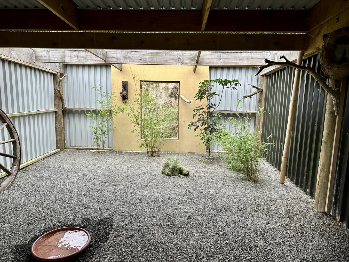 Barn Owl Aviary