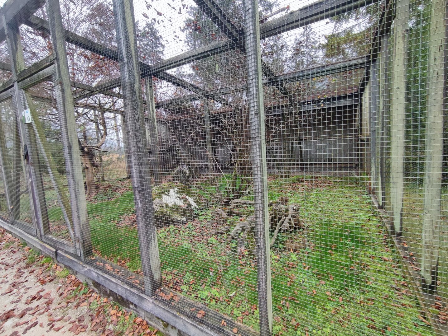 Barn owl/Common kestrel enclosure - Wildpark Grünau/Cumberland