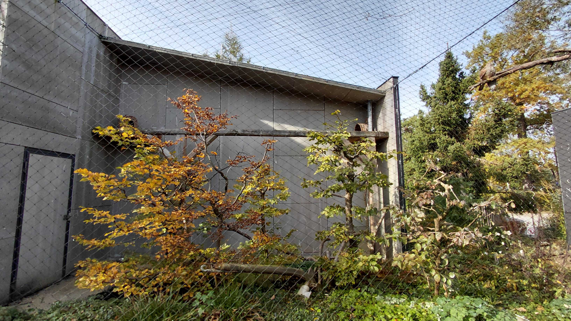 Barn owl + common kestrel exhibit