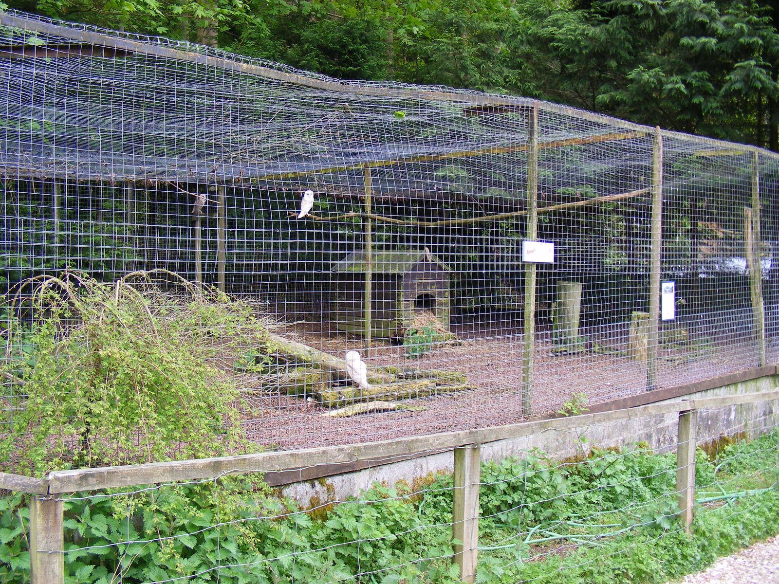 Barn owl enclosure at Galloway Wildlife Conservation Park, 16 May 2010
