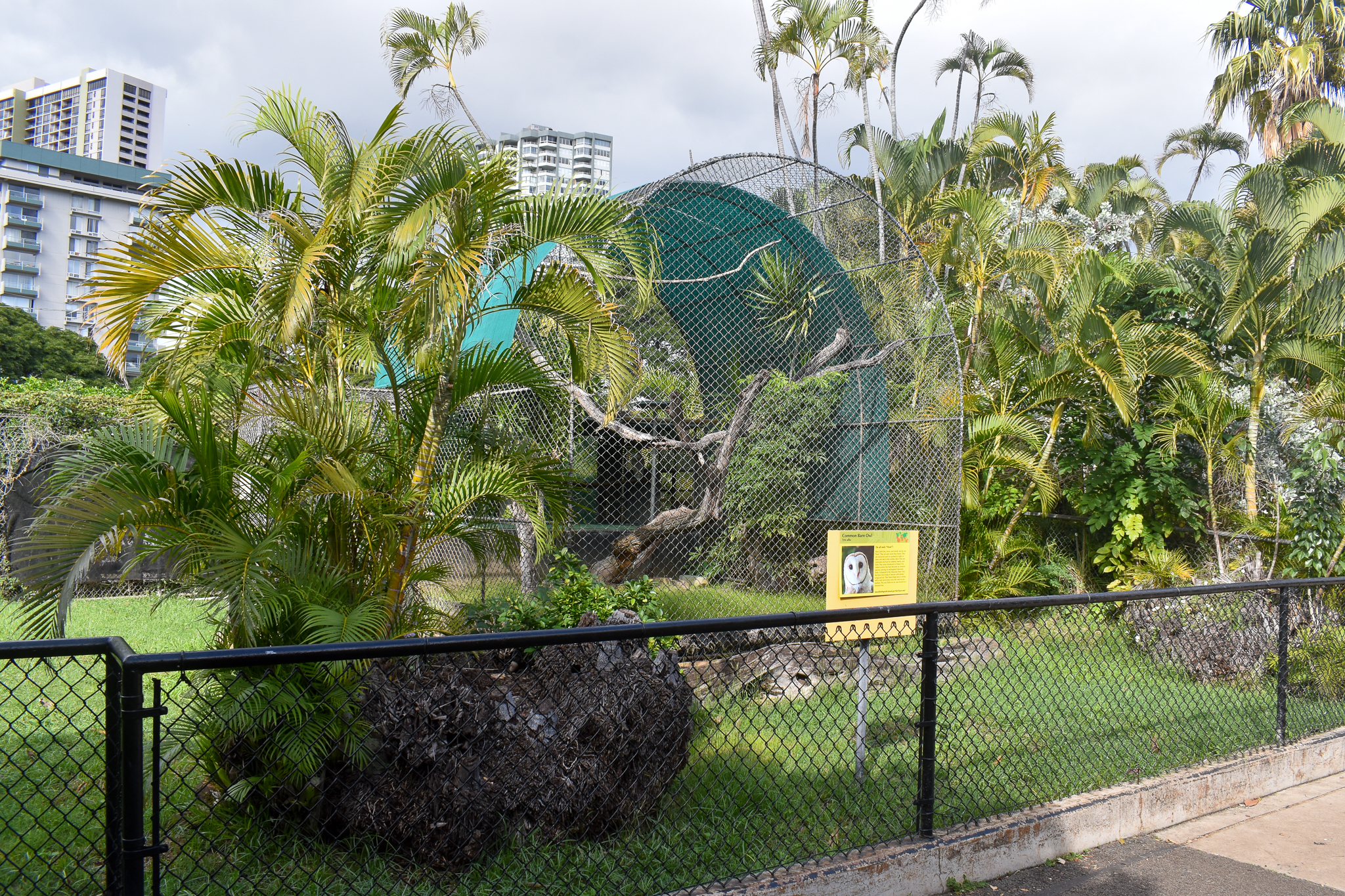 Barn owl enclosure (empty)