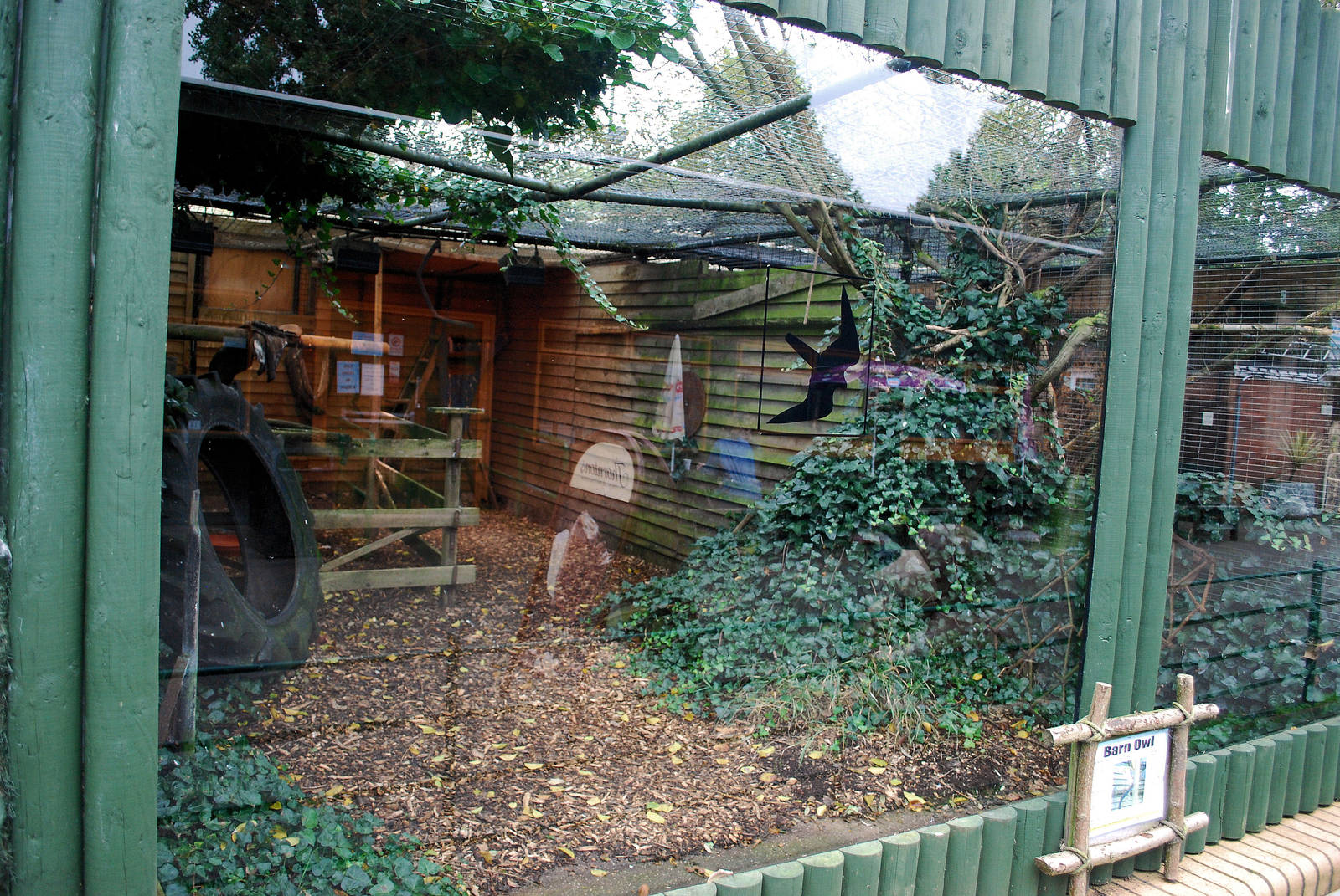 BARN OWL ENCLOSURE