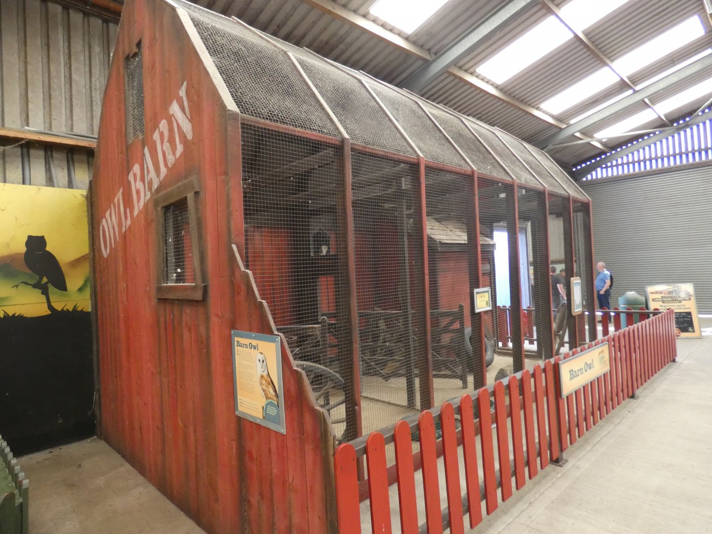Barn Owl enclosure