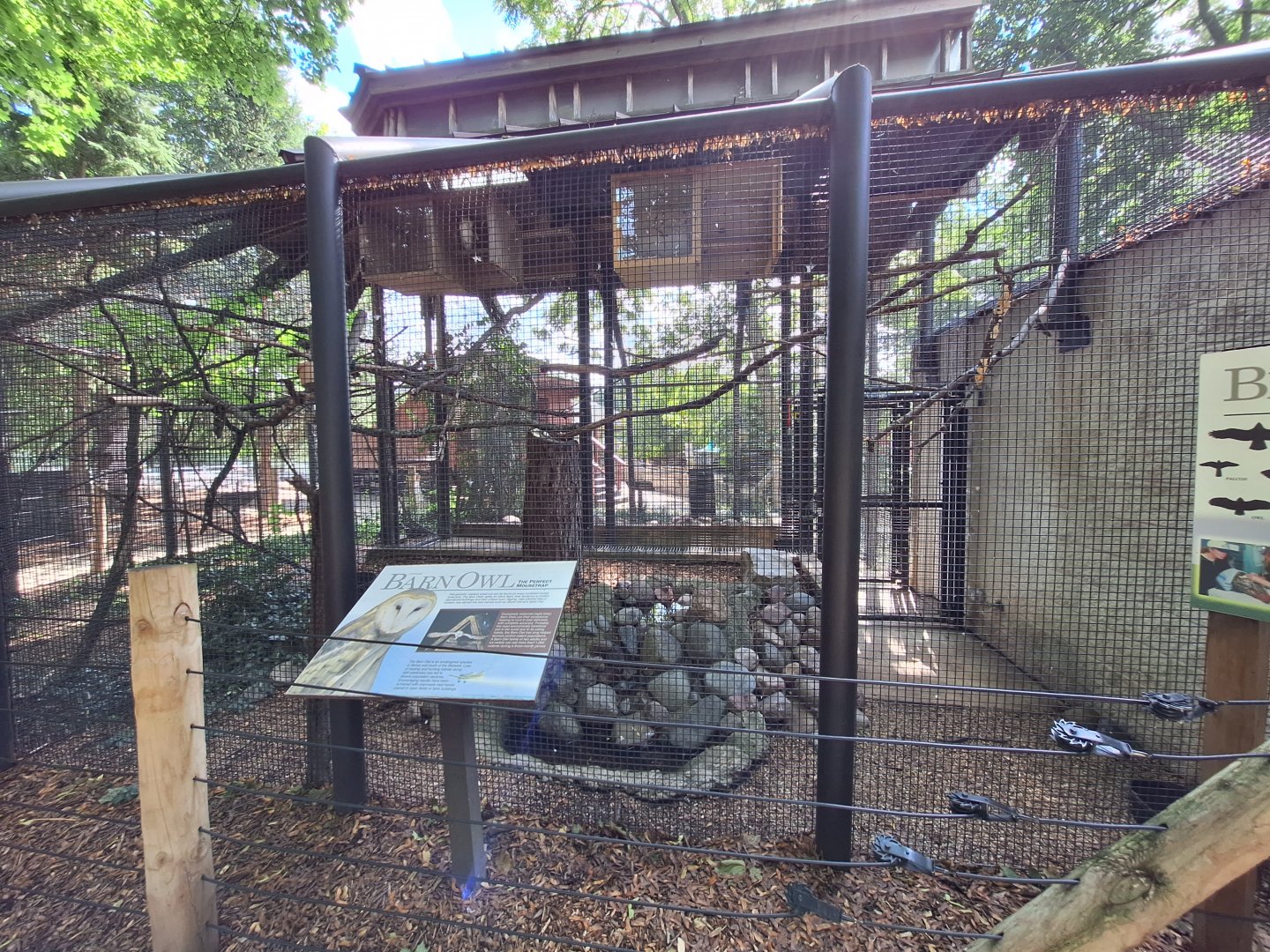 Barn owl enclosure