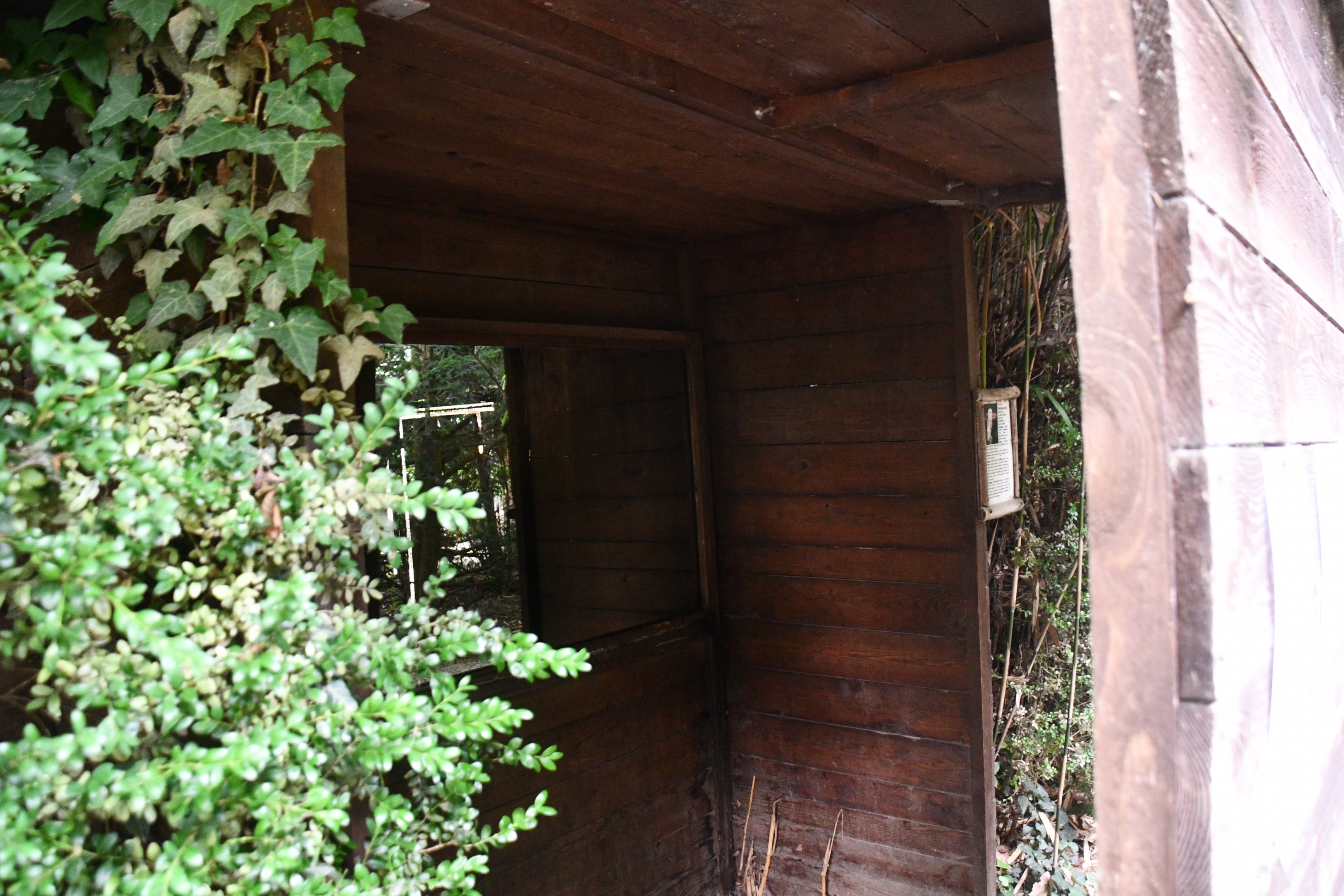 Barn Owl exhibit viewing area