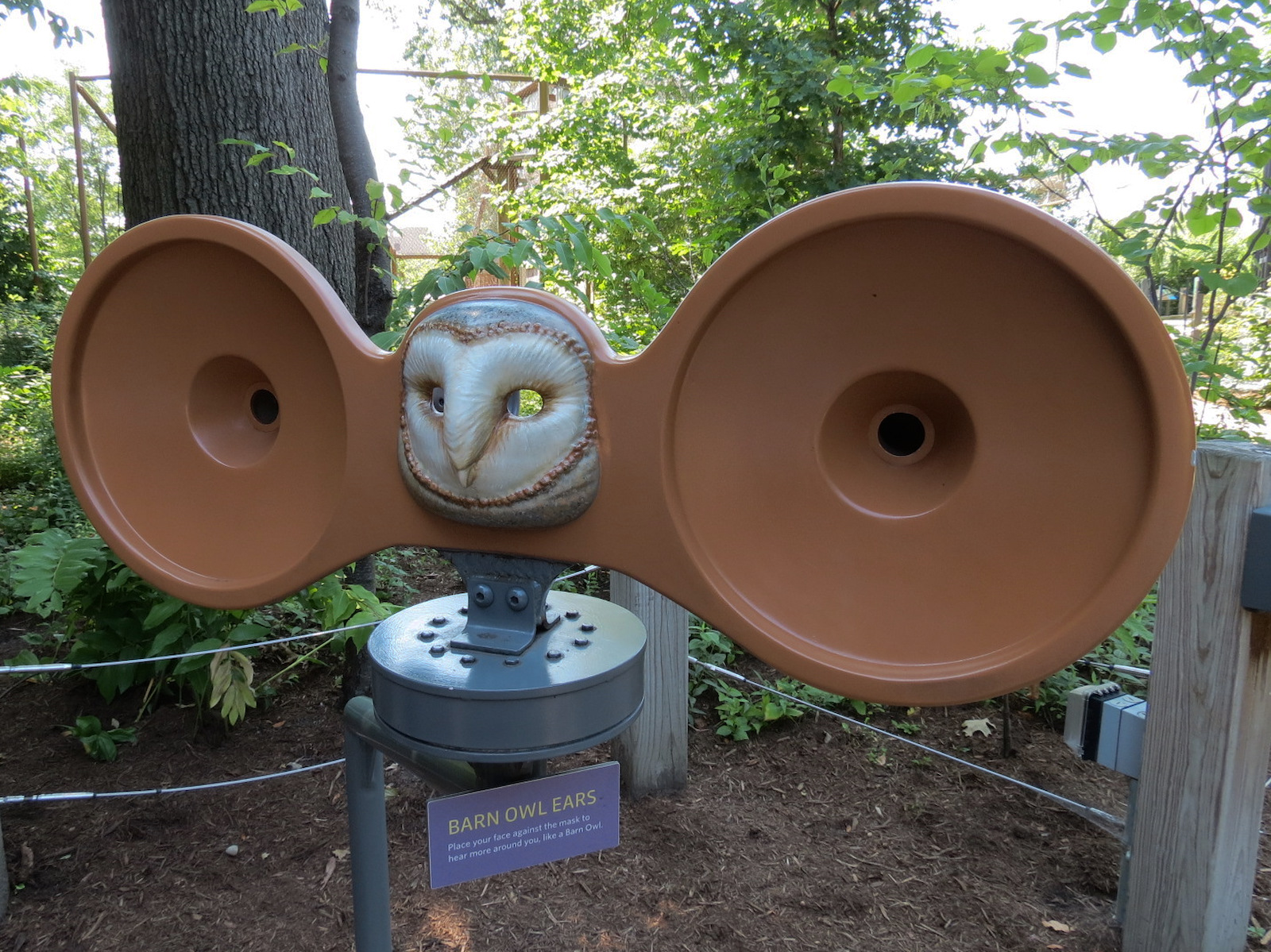 Barn Owl Exhibit - Visitor Play Element